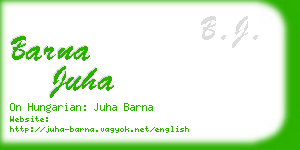 barna juha business card